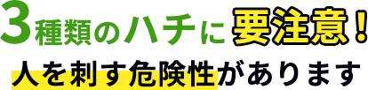 3種類のハチに要注意！ 人を刺す危険性があります